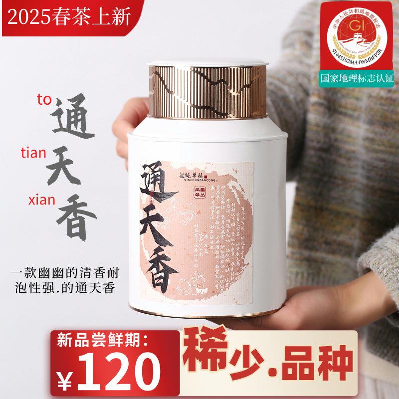 【春茶通天香】凤凰单枞高山通天香经典香型炭焙乌龙茶500g桶装