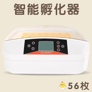 厂家货源HHD家禽养殖孵化设备智能孵化小型家用自动器家禽孵化