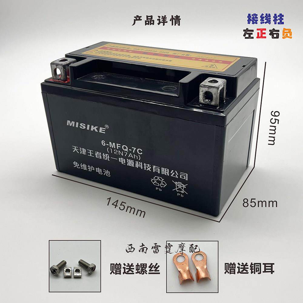 适用金鹰 彷赛 小忍者北极光 赤兔马地平线机车电瓶12v电瓶电池