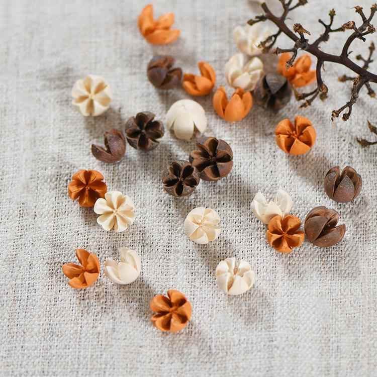 【彩色十字果】天然植物干燥花果实果壳 开口笑永生花干花材料包