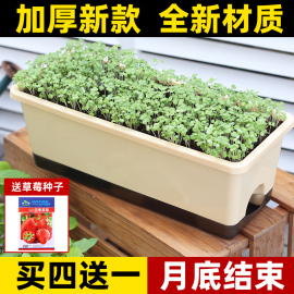 阳台种菜盆专用箱长方形蔬菜种植盆户外自吸水草莓盆栽塑料花盆大