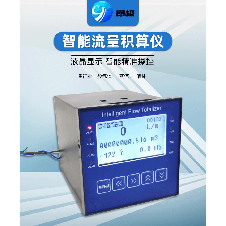流量积算仪96*96可中英文切换宽电源显示表流量积算仪