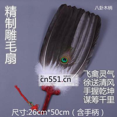雕毛扇腰诸葛孔明鹰毛扇网红扇子纯手工苍鹰毛工艺扇非遗羽毛扇