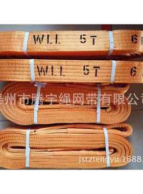 扁平吊装带5T3-6M彩色涤纶吊带5吨5T吊装带5t34568m起重吊带