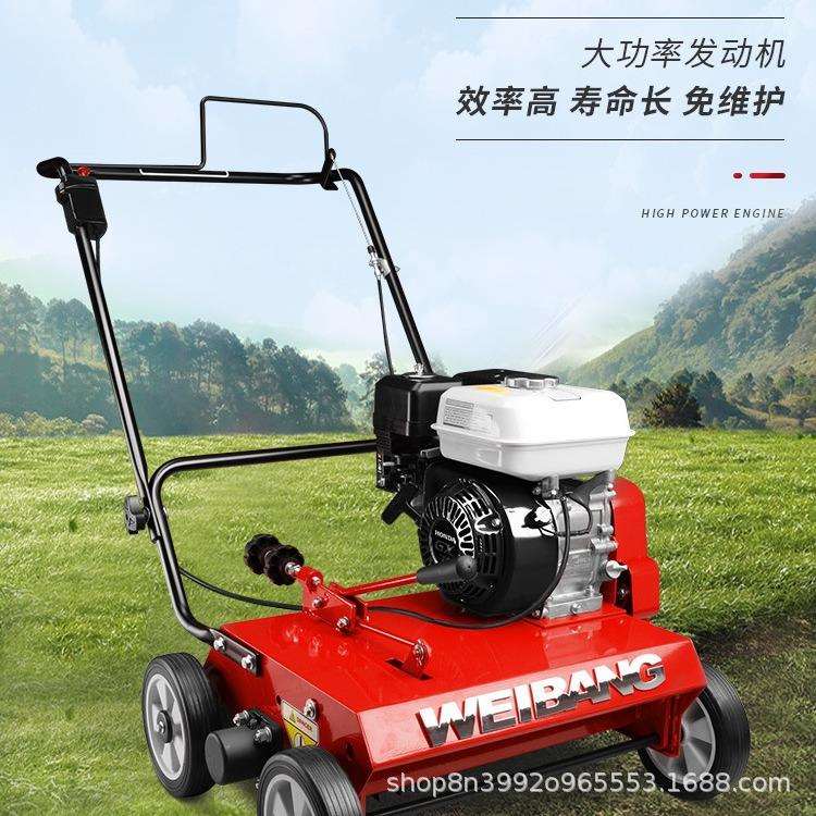 维邦梳草机WB486C坪RH草养机GX160动力枯草清护机理整471理修护草