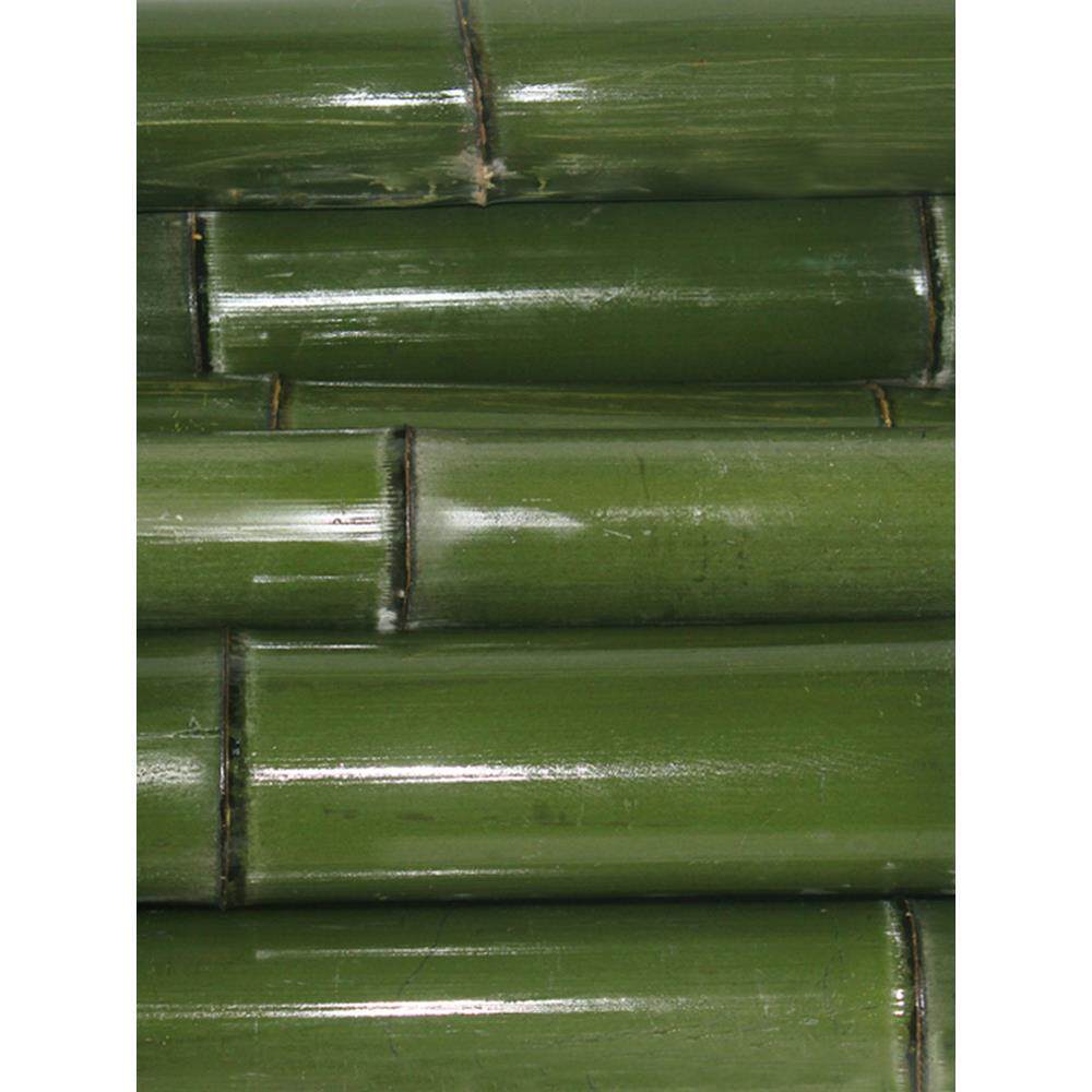 竹子杆造景毛竹竿空心绿色新鲜婚庆竹道具幼儿园环创大小竹筒花器