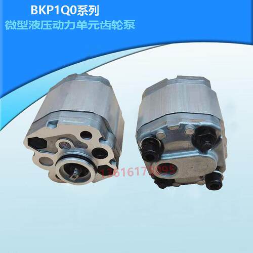 Boden齿轮泵BKP1QOS0.8/S1.1/S1.6/S2.1/S2.7/S3.2/S4.8/7.0G0L1