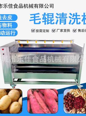 商用大枣干洗去泥毛刷清洗机大产量地黄清洗机中药材毛辊清洗机