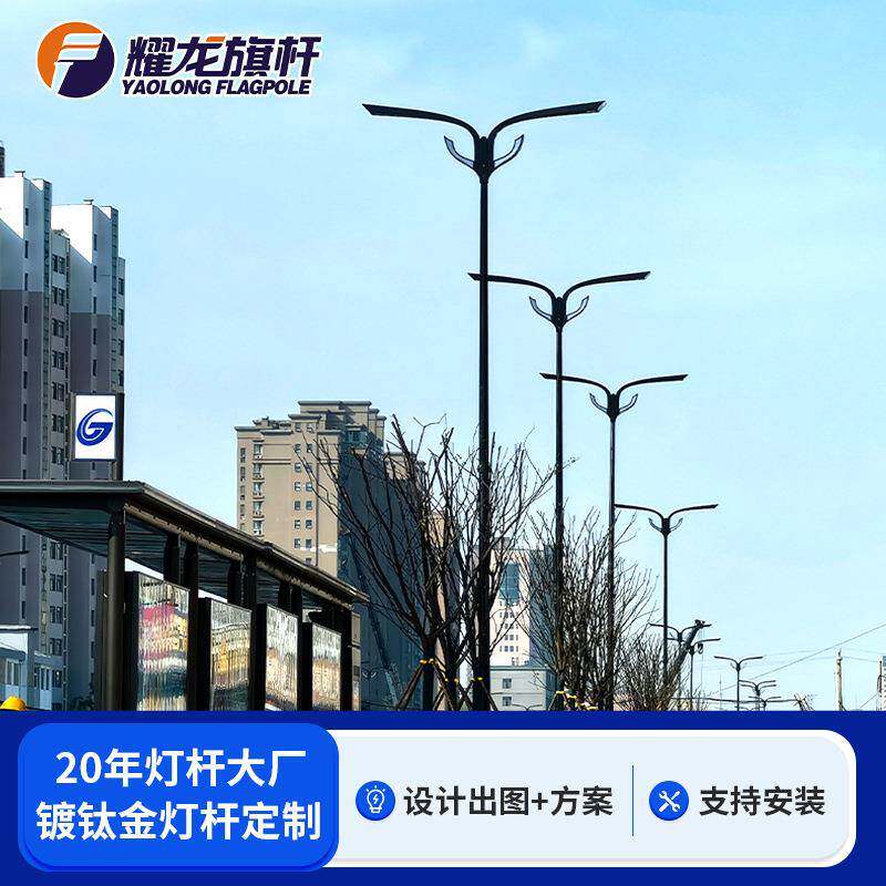 工业园道路庭院户外6米8米9米不锈钢灯杆外贸led铝合金镀钛金灯杆