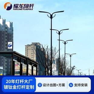 工业园道路庭院户外6米8米9米不锈钢灯杆外贸led铝合金镀钛金灯杆