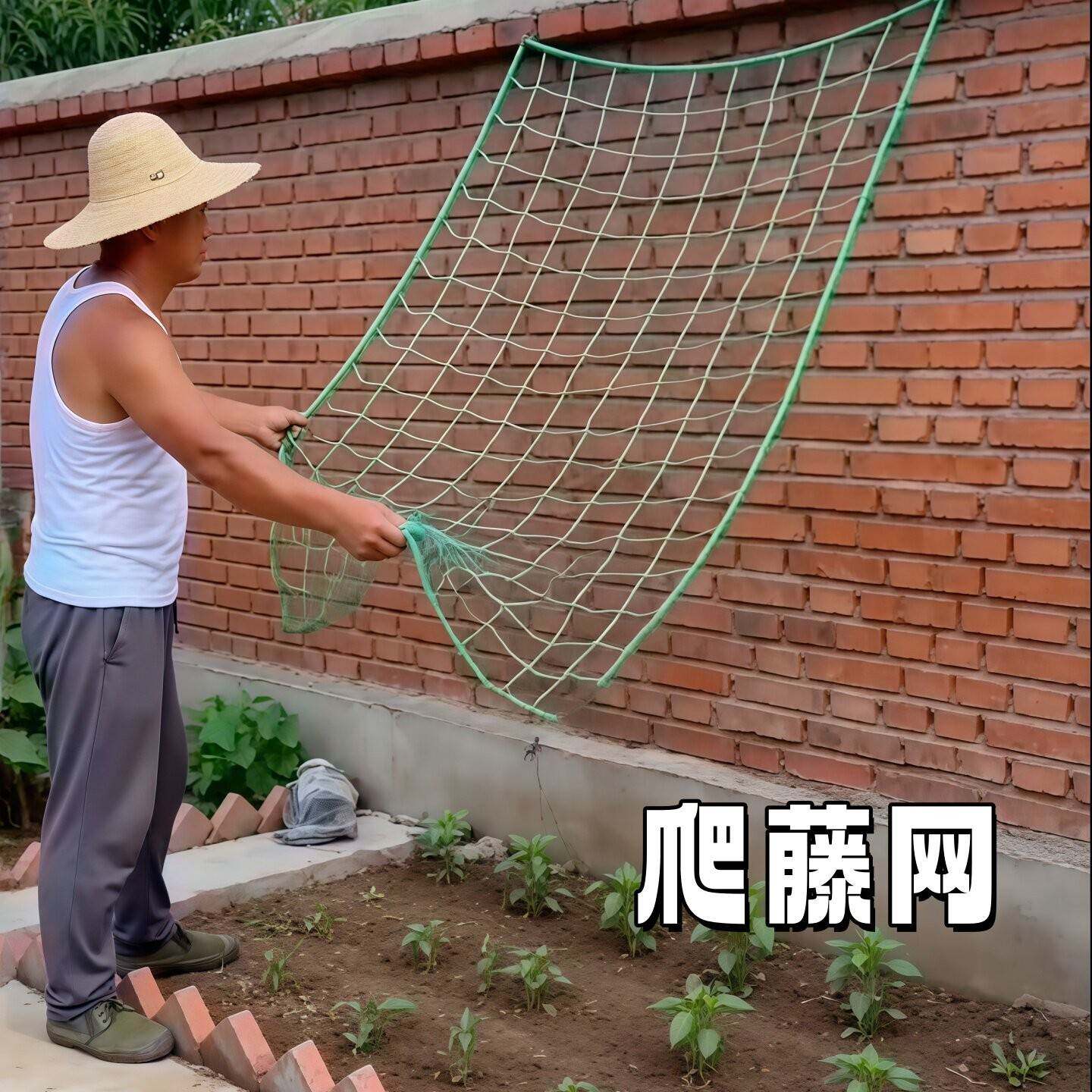 爬藤网植物攀爬网丝瓜月季瓜果豆角植物蔬菜加粗爬藤网园艺攀爬网