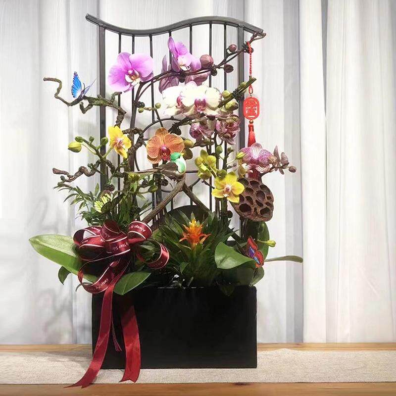 祥云新中式蝴蝶兰花架仿真植物花盆简约轻奢年宵花盆栽摆件装饰