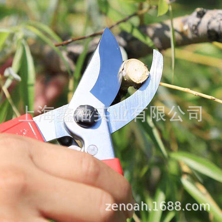 爱丽斯120EU园林工具果树枝粗枝修枝剪枝剪手剪