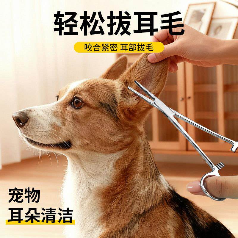 拔耳毛钳狗耳朵拔毛泰迪猫咪止血钳子宠物狗狗耳朵清洁用品止血钳