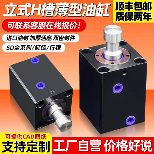 立式H槽光杆液压油缸CX-SD20/25/32/40/63/80/100-H 薄型油缸模具