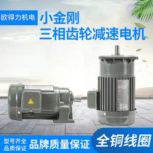厂家 200W 400W 750W 卧式立式三相变频齿轮减速电机 马达 小金刚