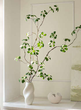 Na家花房仿真绿色植物观音莲家居饰品客厅禅意摆件室内假绿植装饰