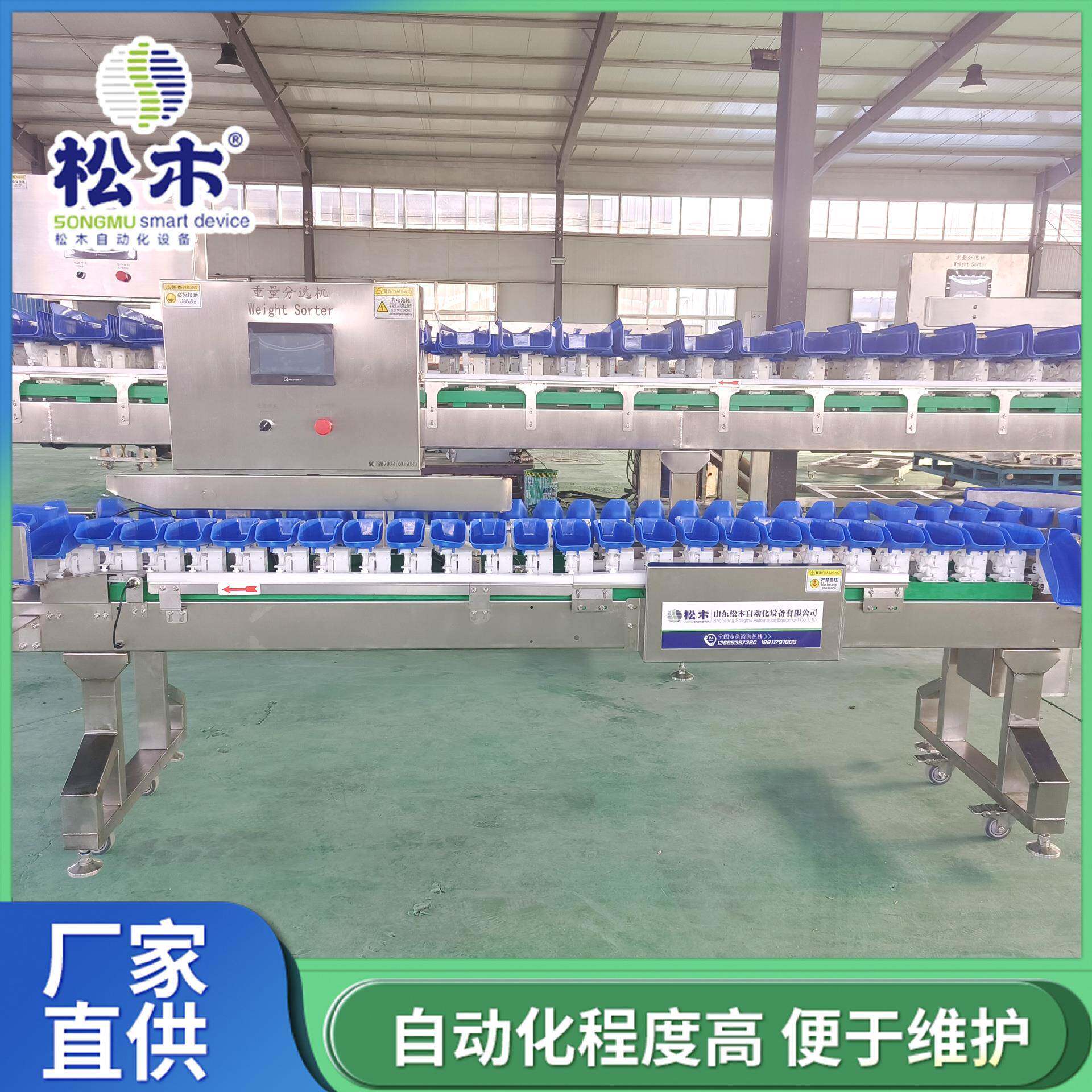 肉串小黄鱼选鱼机猕猴桃自动称重分级机分选机价格优惠食品级