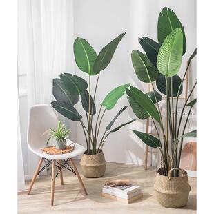 仿真植物旅蕉假绿地植室橱窗造人景内装饰09落大型假树仿真树仿真