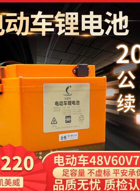 凯美威电动车48V60v20ah三轮车72v35A外送超轻大容量电动车锂电池