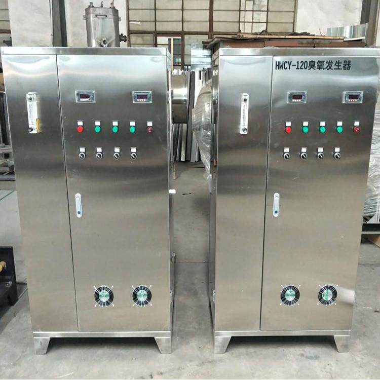 厂家供应水处理臭氧发生器 氧气源臭氧机 泳池消毒污水降解脱色