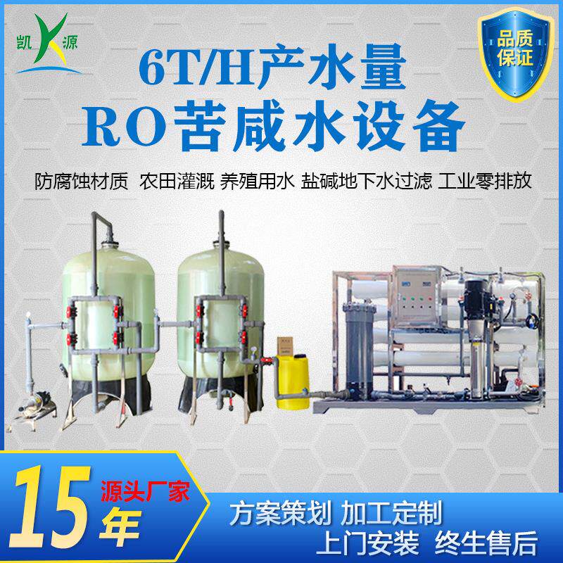 厂家直销6T/H苦咸水设备去除高含量氯离子过滤器盐碱地下水净化器