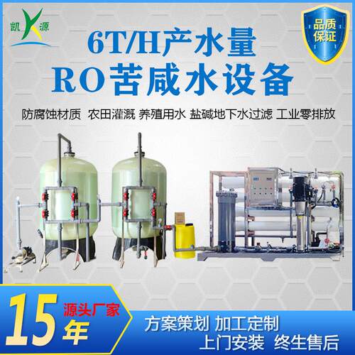 厂家直销6T/H苦咸水设备去除高含量氯离子过滤器盐碱地下水净化器