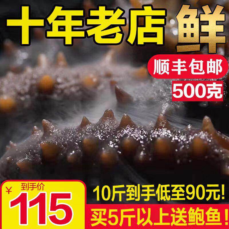 乐扬先活大连海参即食单个装辽参刺参500g开袋即食海参孕妇滋补