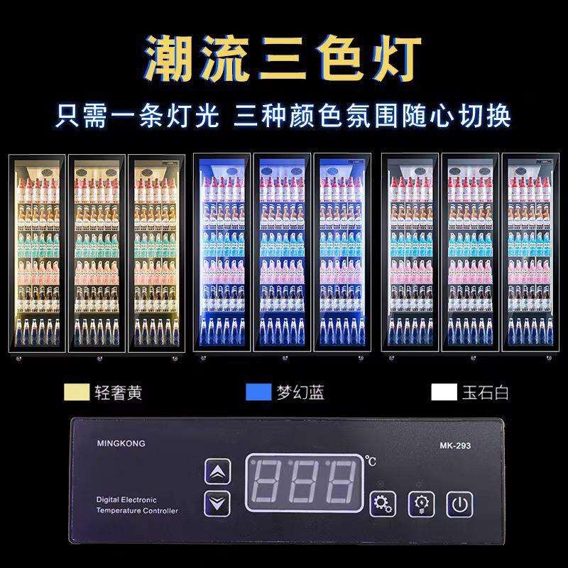 啤酒柜饮料柜酒水展示柜冷藏网红冰柜商用冷柜单双门三门酒吧冰箱