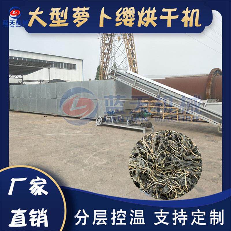 网带式萝卜缨烘干机大型萝卜叶蔬菜叶干燥机萝卜瑛脱水烘干设备