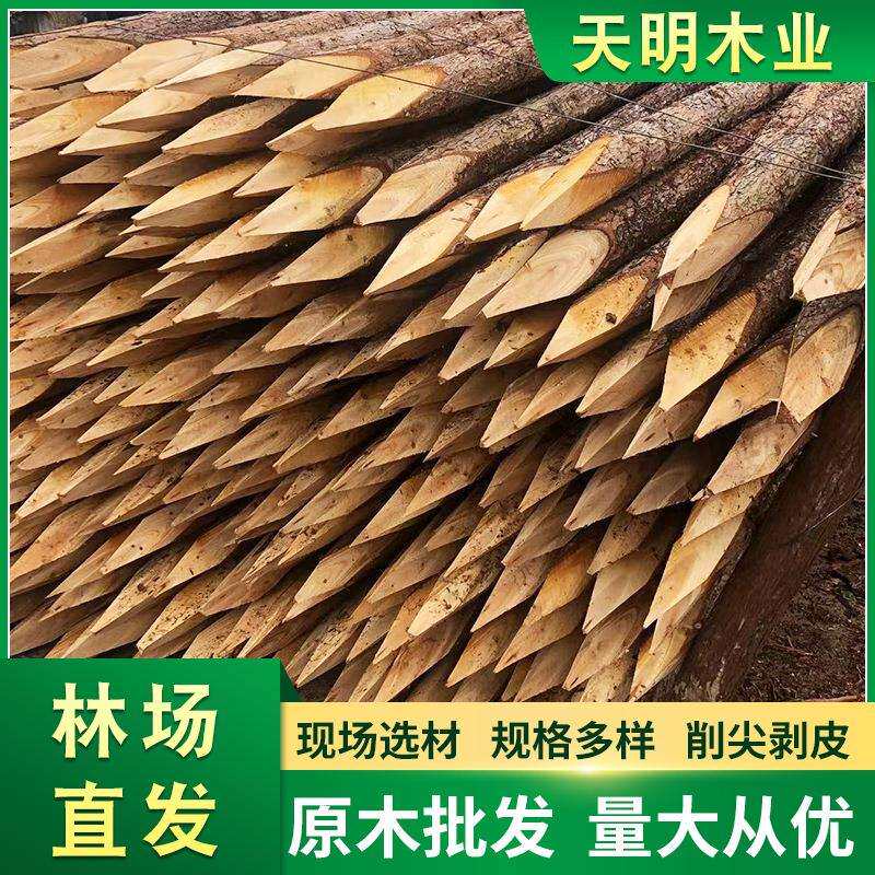 林场直发杉木桩柳木桩河道护坡打木桩防汛挡土木桩园林绿化木桩