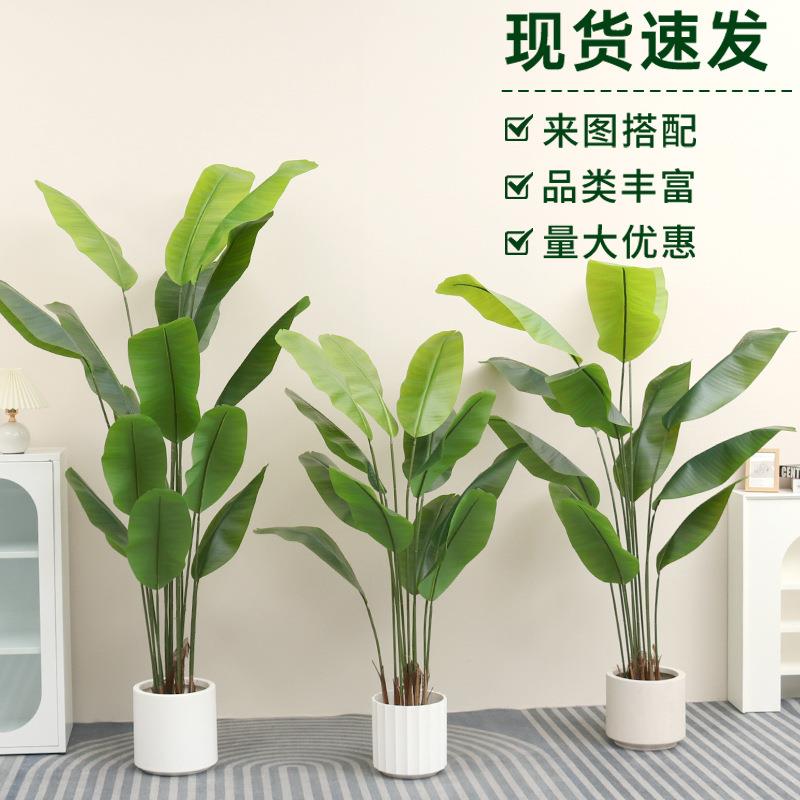 北欧风仿真绿植仿真旅人蕉细杆大叶片高端落地盆栽仿真植物造景