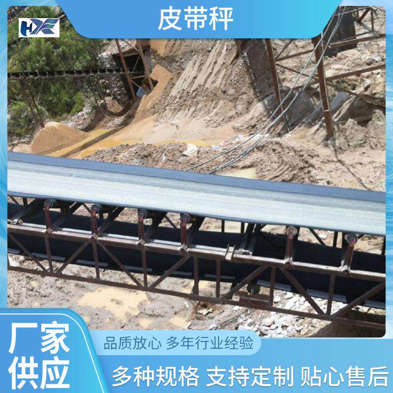 000皮带秤皮带秤输送带电子皮带秤仪表传感器00厂家