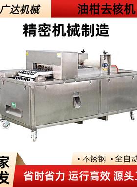 广达小型油柑去核机余甘子去核设备半自动加工油柑去核机