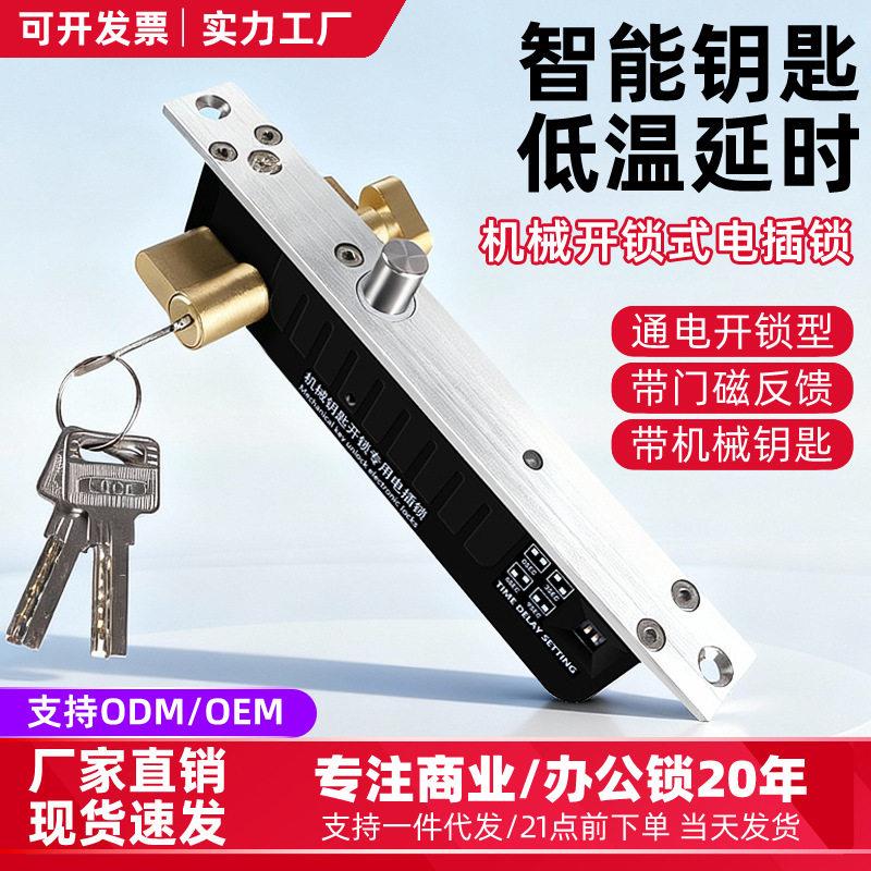 断电上锁带钥匙电插锁铁门防水电锁监狱别墅大门肯德基门电梯电锁