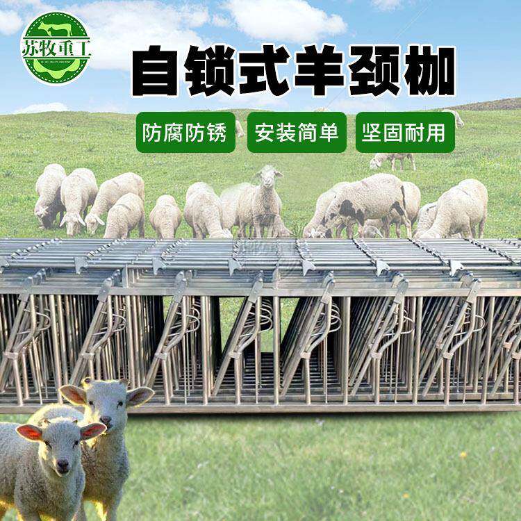苏牧重工畜牧设备热镀锌材质自锁式羊颈夹3米7位饲喂羊场饲喂设备