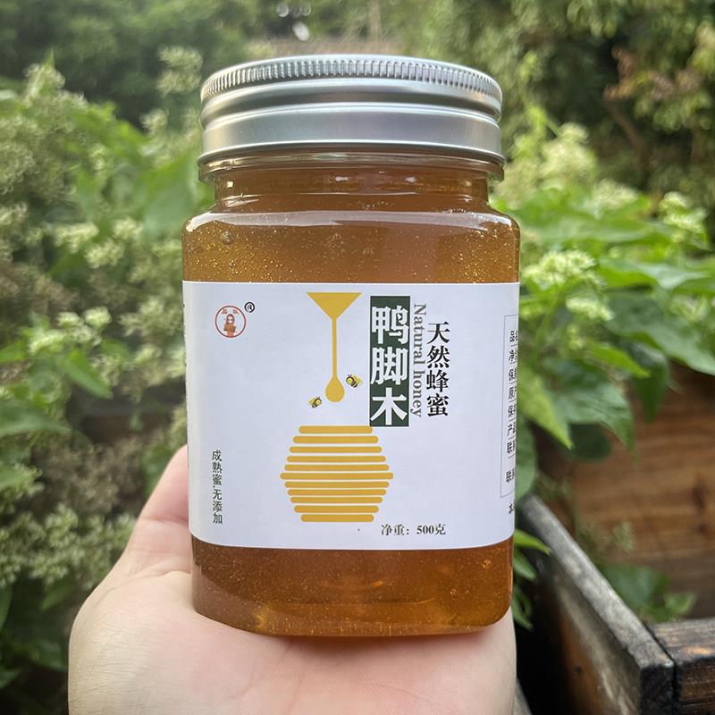 蜂农直销自产野生纯正天然鸭脚木冬蜜鹅掌柴蜂蜜结晶蜜无添加