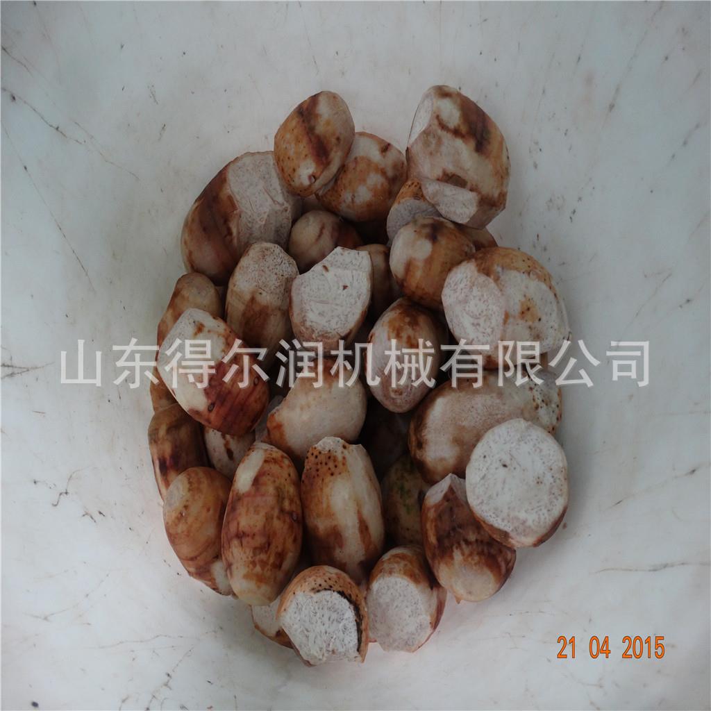 红薯清洗去皮机价格 诸城食品机械 大姜芋头清洗流水线加工设备