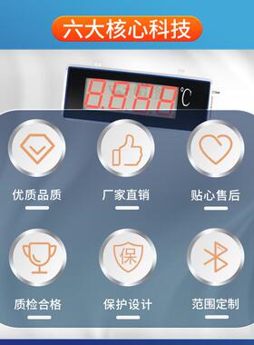 YT-DP04X1温度显示器大屏变送器带控制报警功能变送器LED显示计