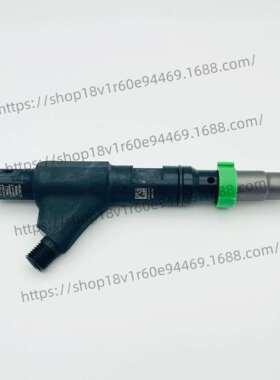 云内28570880/28651417喷油器总成Y10009245云内F45发动机