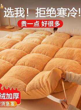 意大利zdzsh冬季加厚保暖羊羔绒床垫家用软垫学生宿舍单人床垫褥