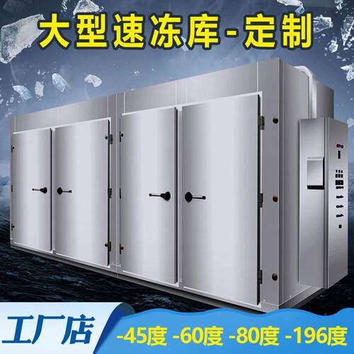 大型超低温冷冻库广东厂家生产1吨2吨餐馆食品药品速冻库冷冻库