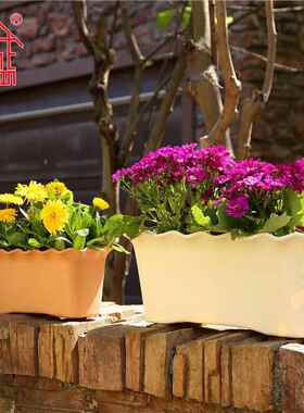 大号种菜塑料花盆家用白色多肉盆室外阳台加厚长条花槽绿植