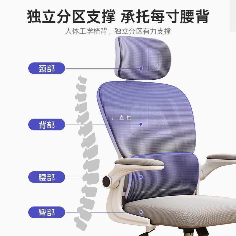 人体工学椅子家用护腰久坐舒服电脑椅学习办公座椅卧室宿舍电竞椅