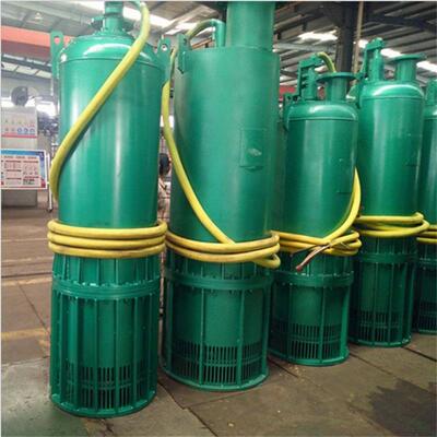 矿用隔爆型潜水排沙电泵陕西煤矿井下潜水泵BQS25-320-55KW