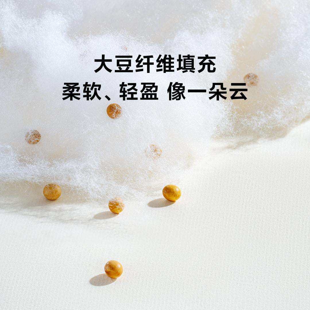 8H小暖熊秋冬保暖被芯双面抗菌A类加厚冬季被子可机洗春秋被