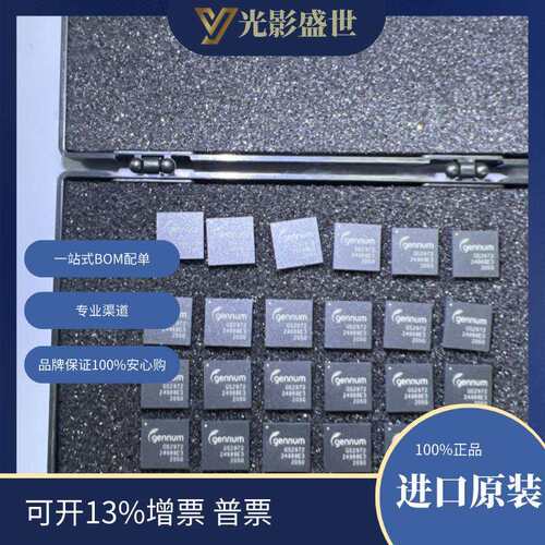GS2972-IBE3 原装现货 线性 t 集成电路（IC） 线性 视频处理