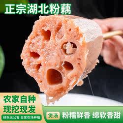湖北粉藕农家自种新鲜出泥粉糯鲜香煲汤莲藕拒绝漂白绿色无公害