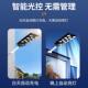 太阳路灯一星星款 体太阳能庭院灯带遥控外能户人体感应太阳化能灯