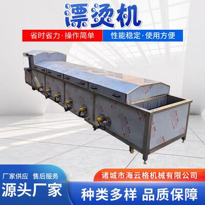 天麻蒸煮漂烫杀青机蕨菜油菜蔬菜漂烫机豆角漂烫固色设备